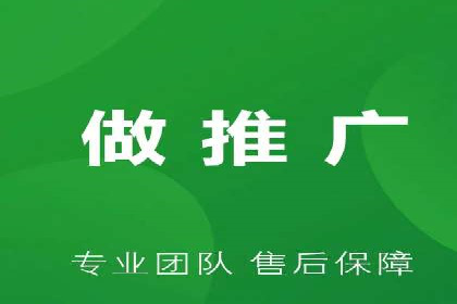 百度广告投放策略与效果评估案例