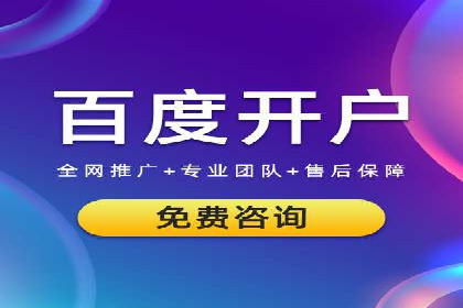 网络推广策略：竞价广告的实践案例